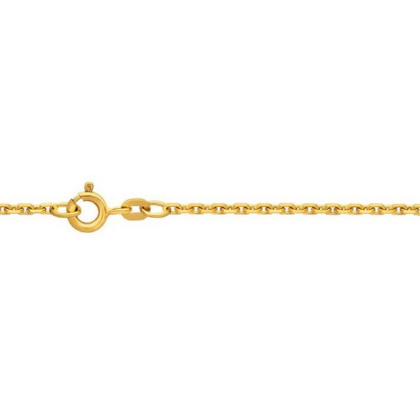 Basics Gold Halskette - Gold 333 8K - Anker 50 - goldfarben / 0460.1-50