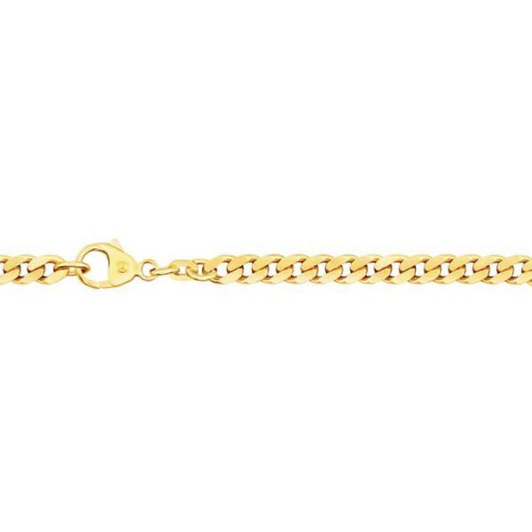 Basics Gold Halskette - Gold 585 14K - Panzerkette masiv 65cm / 585-33-374