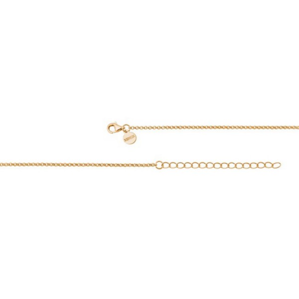 Xenox Halskette - Sterlingsilber - Erbs 40 - golden / XK500G/45